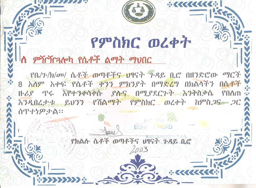 Certificate of Encouragement

from Benishangul-Gumuz women and children office 2003 E.C